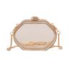 Acrylic Mini Box Bag 2025 New European and American Fashion Transparent Jelly Bag Ins Women's Messenger Chain Bag
