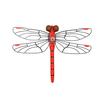 Simulated Dragonfly Pendant PVC Hanging Repellent Realistic Design Pest Deterrence Ornament Dragonfly Hunting Accessory