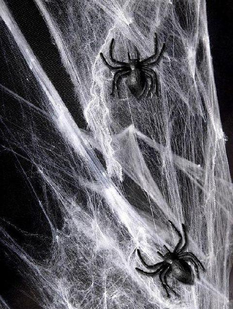 Black Plastic Spiders 10 Pcs