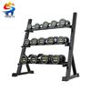 Professional Dumbbell Sets with Storage Racks