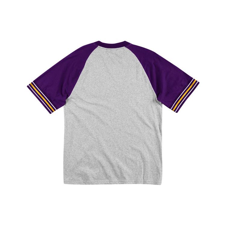 Футболка Mitchell & Ness Мужская Серая SSTEAJ19001-LALGYHT