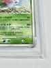 Pokémon Коллекционная карточка Shaymin DP6 Battle Dpbp Trading 2008 1-е издание [PSA 8] Sky-Shattering