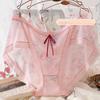 Floral Hazy Vintage Fairy Aura Plus Size Underwear for Women Pantys Sexy Thin Transparent Knickers Briefs Rose Mesh Oversized Panties