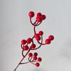 Natural Dried Pine Cones for Christmas Tree Decoration, Photography Props, Floral Wreaths, and Bouquets.