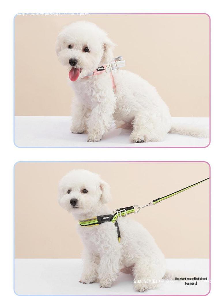 Дышащая шлейка с цветными блоками и поводок для маленьких/средних собак - Тедди, Сиба-ину