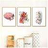 Vintage Wall Art Canvas Painting Nordic Posters And Prints Wall Pictures For Living Room Decor Brain Heart Anatomy