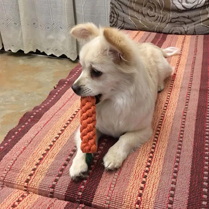 «Игривая» прочная жевательная игрушка для собак в форме морковки с веревочным узлом — интерактивная игра, стимулирующая скрежетание зубами для средних пород