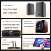 SANSUI M13 Professional Home Karaoke System CN plug (adapter included)
