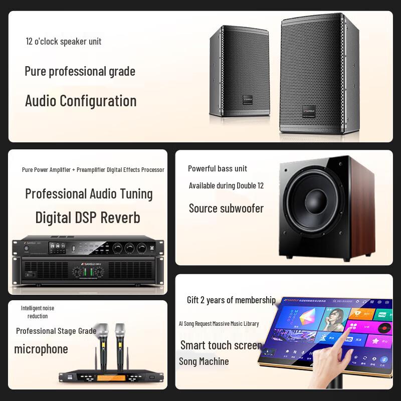 SANSUI M13 Professional Home Karaoke System CN plug (adapter included)
