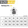 66pcs Hex Nuts M4 M5 M6 M8 M10 M12, Metric 304 Stainless Steel 6 Sizes, Coarse Thread Hex Nuts