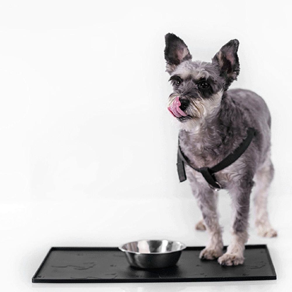 Silicone Pet Feeding Mat Small Animal printed Dog Bowl Mat Dog Food Mat Pet Food Water Serving