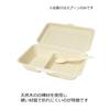 Yamato Bussan Disposable Wooden Spoons, 100 Count, 15.8cm, Promotes Business, Individually Wrapped for Hygiene, Eco-Friendly