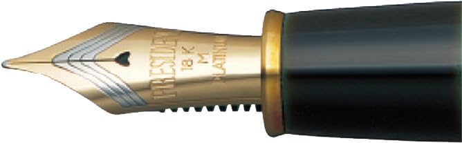 Platinum Fountain Medium Official Import Pen, Nib, Izumo, Soratamare, PIZ-55000, 27-3,