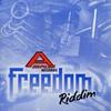 LP Пластинка РАЗНЫЕ ИСПОЛНИТЕЛИ - Freedom Riddim LP63653 Amplex 2006 Ямайка Регги, Ска и Даб