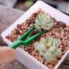 Gardenline Zestaw Do Pikowania - Mini Siewnik + Narzędzia Eva2741