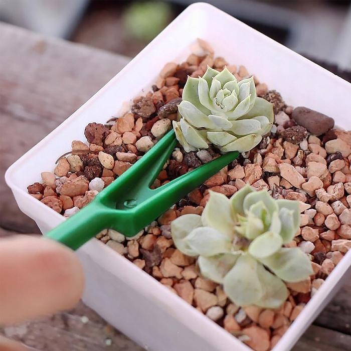 Gardenline Zestaw Do Pikowania - Mini Siewnik + Narzędzia Eva2741