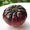35 Crimean Black Tomato Seeds (French Origin) - Semi-Wild Permaculture