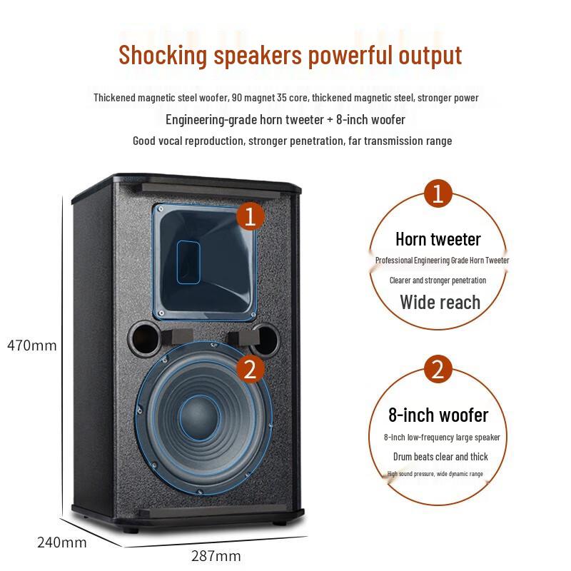 SHILE Professional Conference Room Sound System CN plug (adapter included)