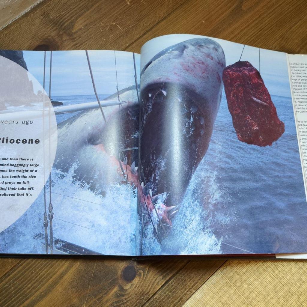 [ИСПОЛЬЗОВАННЫЕ] МОРСКИЕ МОНСТРЫ: Доисторические хищники