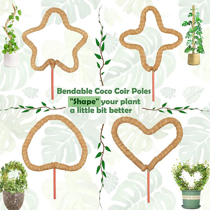 Рамка для лазанья по растениям Кокосовая скорлупа Мох Пальмовая трость Садоводство Кокосовый стержень Растягивающийся столб для скалолазания Комнатное растение Лиана