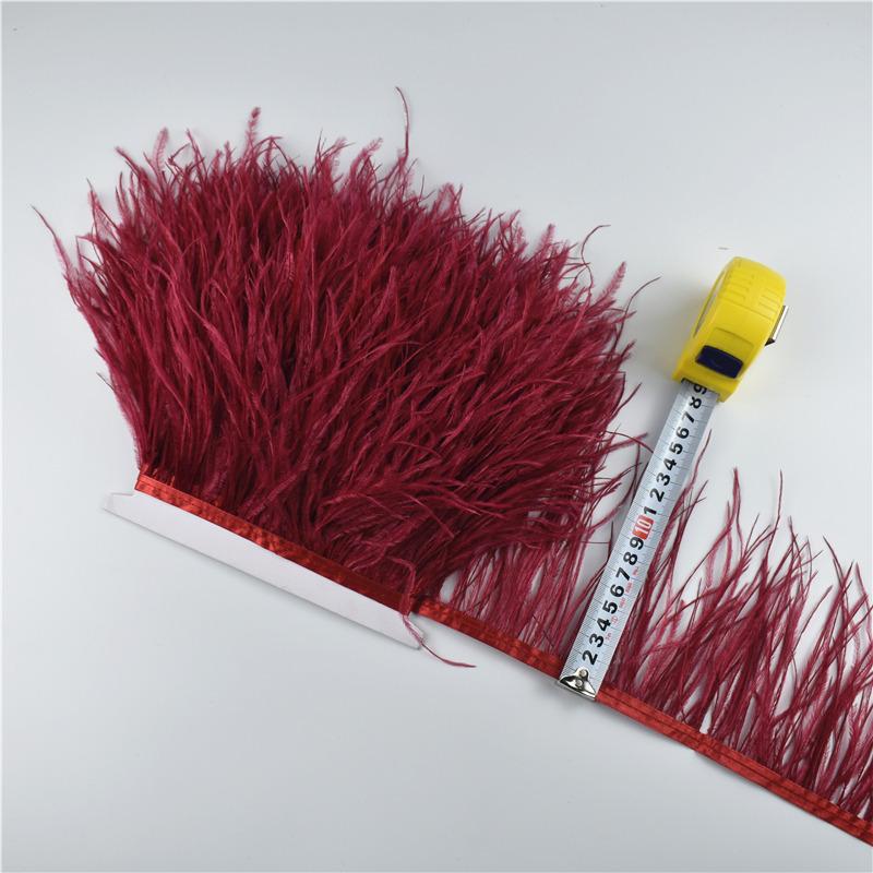 Feather1M 5M 10Meters Ostrich Feather Skirt Fringe Trims 10-15CM Ostrich Feather Ribbon Feathers for Crafts Wedding Feathers Decoration