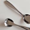Strong Dessert Spoon Anti-rust Lightweight Stir