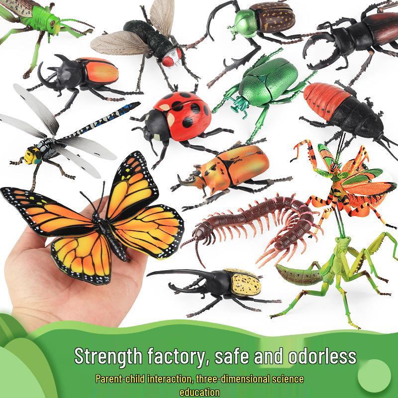 4D Insect Model Toy Set: Ladybug, Stag Beetle, Centipede, Ant, Fly, Mantis