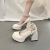 Весна и Осень Французский Сказочный Ветер Водонепроницаемые Туфли Мэри Джейн на Платформе и Высоком Каблуке Женские Туфли на Толстом Каблуке с Одной Пуговицей