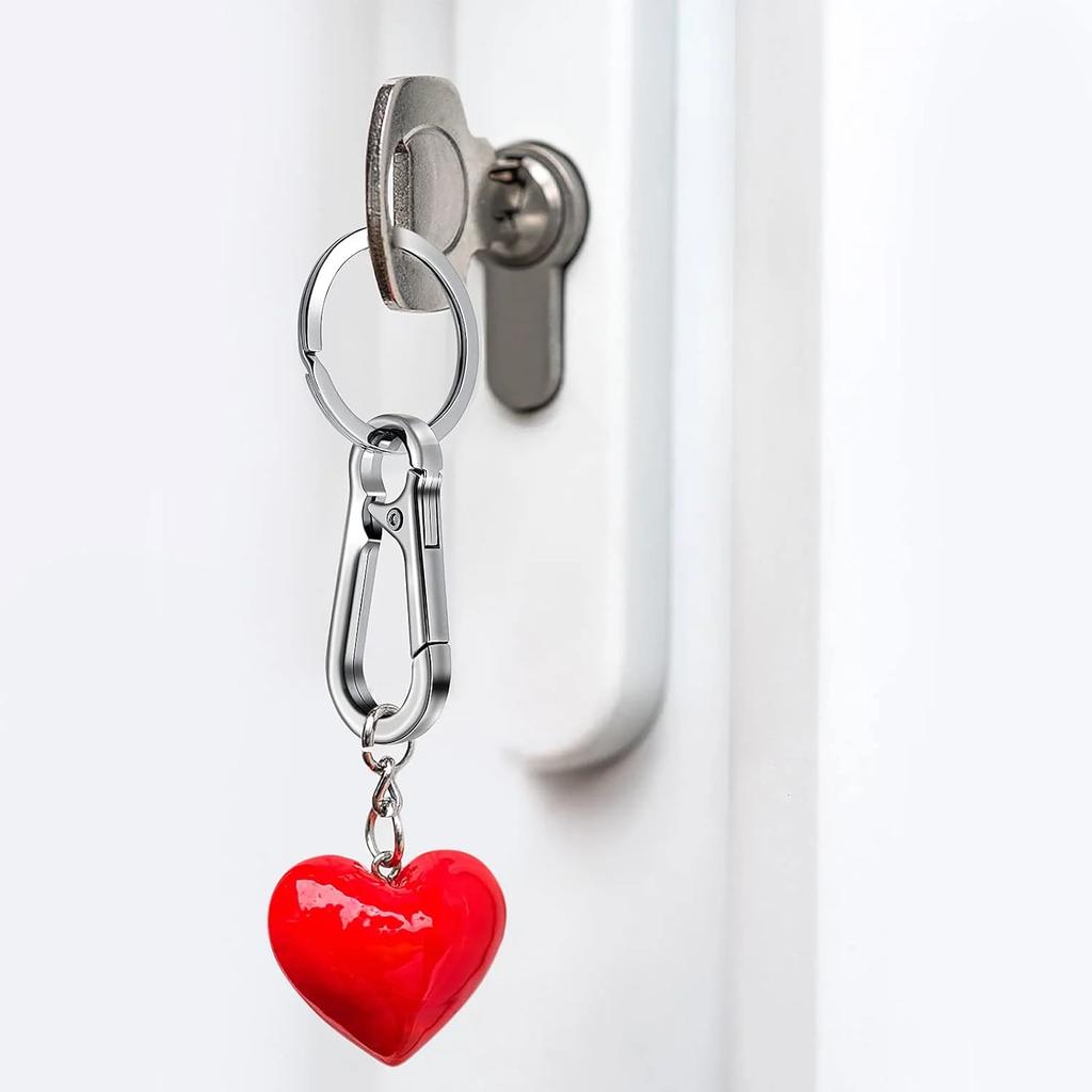 4Pcs Carabiner Clip Keychain Metal Carabiner Shape Key Ring Keyring Key Holder Clips Hook Holder Organizer for Car Keys Finder F