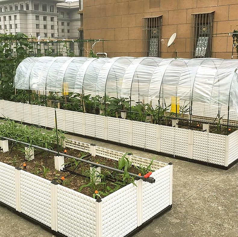 Прозрачная полиэтиленовая антифризная пленка: Водонепроницаемое покрытие для садовых растений и теплиц