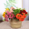Simulated succulent rice fruit, soft rubber Fengxin fruit, plastic cauliflower home decoration
