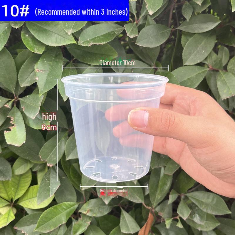 Clear Plastic Orchid Pot: Sphagnum Moss, Square & Round Design for Phalaenopsis or Fish Tanks