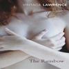 The Rainbow by D H Lawrence Paperback Book 9780099541455