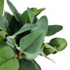 Ornament Greenery Stems Wedding Party Artificial Plant Fake Plants With Flowers Eucalyptus Leaves