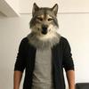 Venetian Party Eagle Mask Simulation Animal Wolf Mask Halloween Hood Mask  Party Makeup Ball