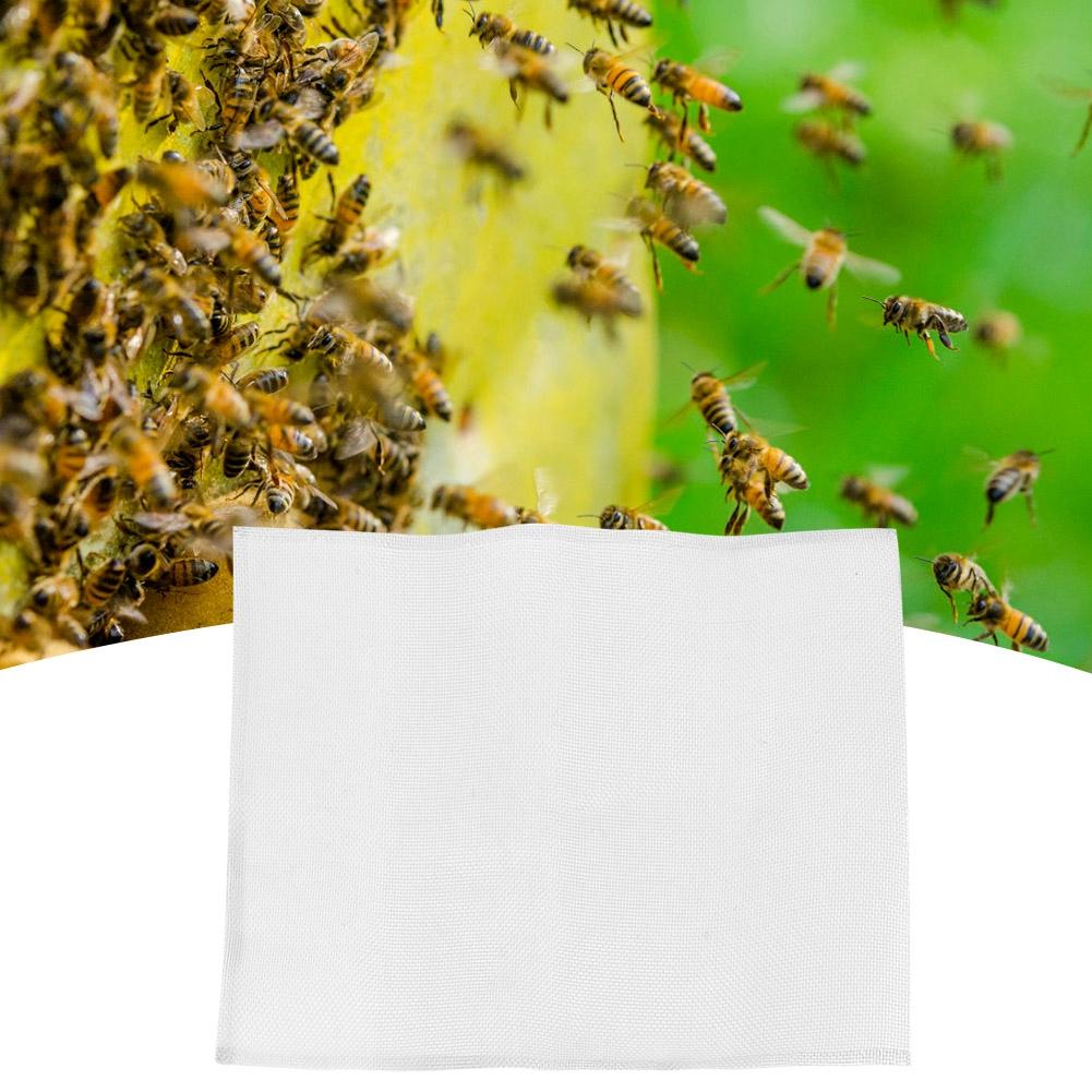 5Pcs Beekeeping Stainless Steel Beehive Comb Gauze Mesh Beekeeper Accessory