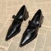 Мода 2025Дизайнерская Винтажная Обувь Мэри Джейн с Острым Носком для Женщин Модная Обувь с Мелкой Пряжкой Весенняя Женская Элегантная Обувь на Толстом Каблуке для Платья