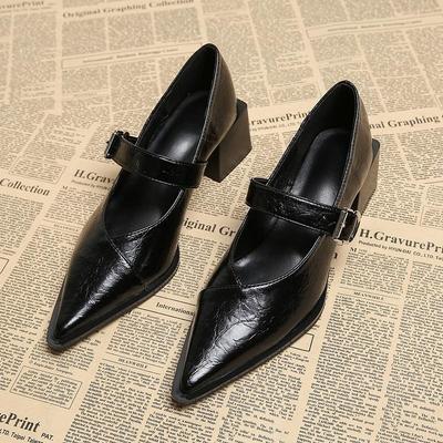 Мода 2025Дизайнерская Винтажная Обувь Мэри Джейн с Острым Носком для Женщин Модная Обувь с Мелкой Пряжкой Весенняя Женская Элегантная Обувь на Толстом Каблуке для Платья