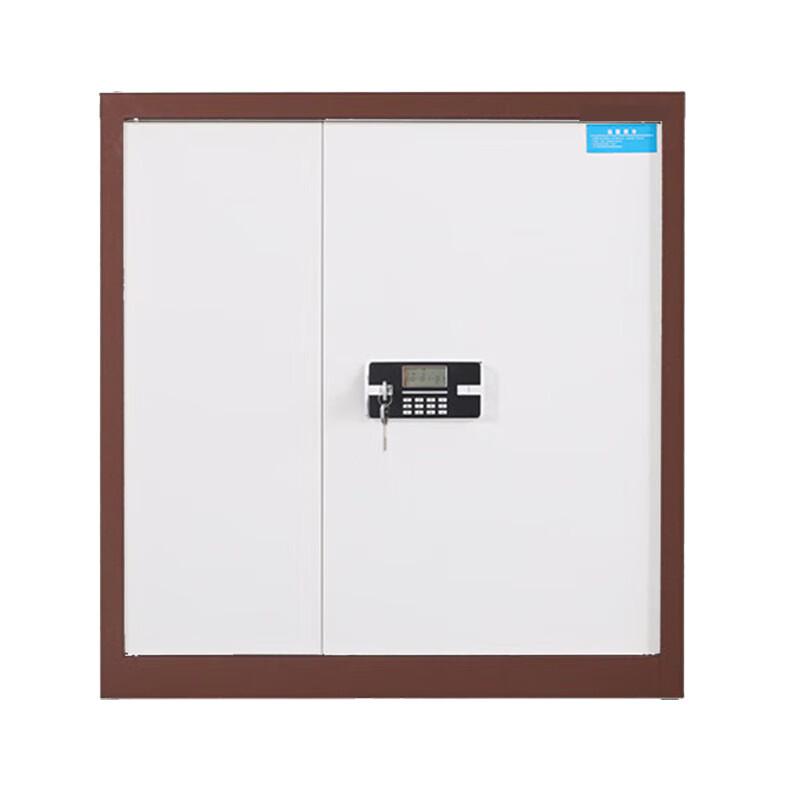 Single-Layer Electronic Security File Cabinet