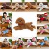 Teddy Hoodie Dog Plush Toy Cute Cartoon Collar Animal Doll Girl Birthday Gift