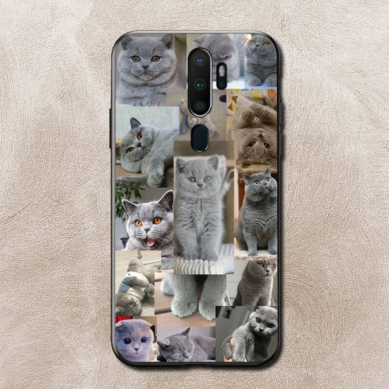 Чехол для телефона Cat Memes для Vivo Y91C Y11 17 19 17 67 81 Oppo A9 2020 Realme c3