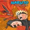 Naruto 3in1 Edition Vol. 17 by Masashi Kishimoto Paperback Book 9781421583433