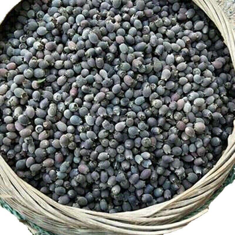 250/500g Dried Rhodomyrtus Tomentosa Fruit, Dried Herbal Tea Renzi Tea Jinxiang