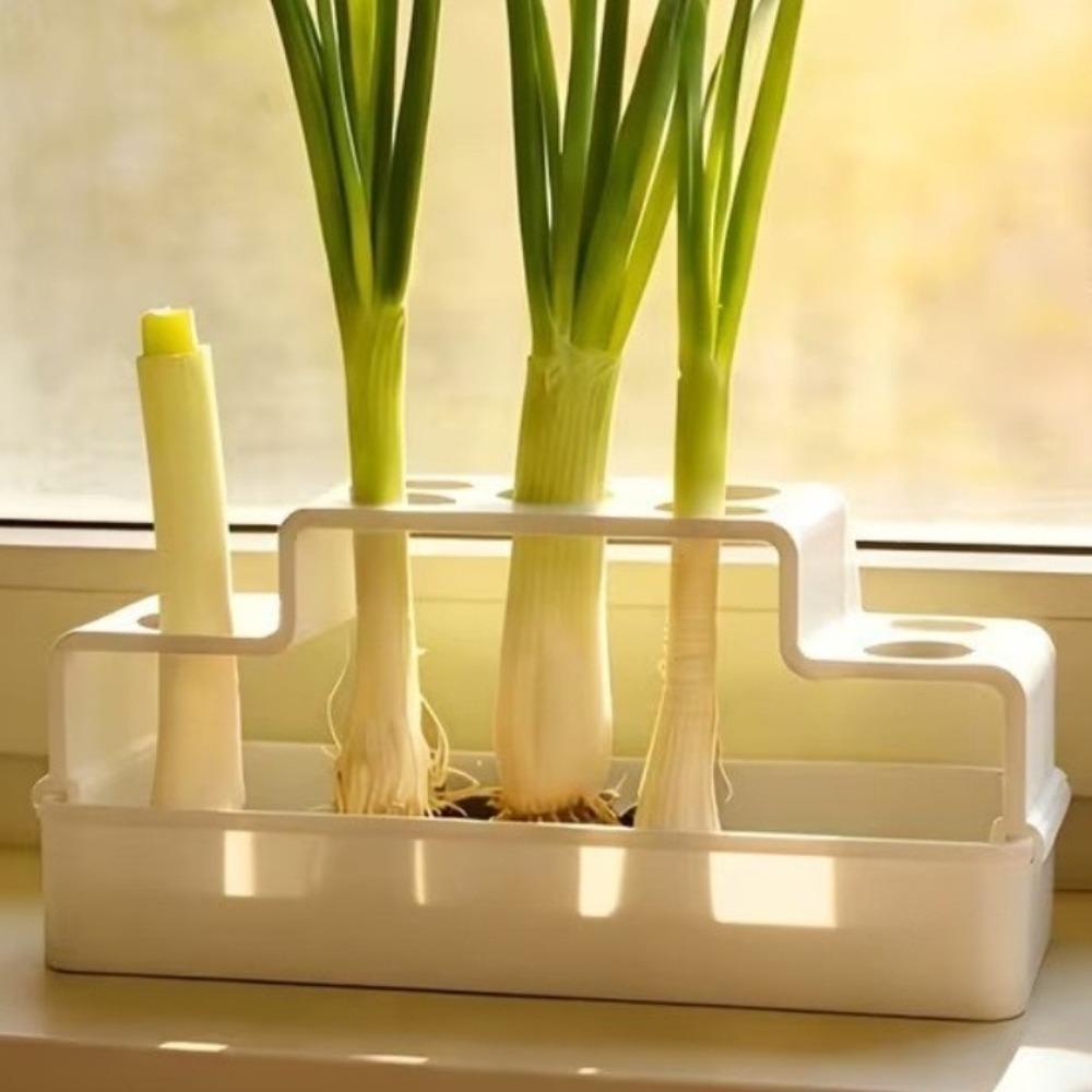 Ventilated Cultivation Pot Plastic Soilless Cultivation Pot  Coriander Planting