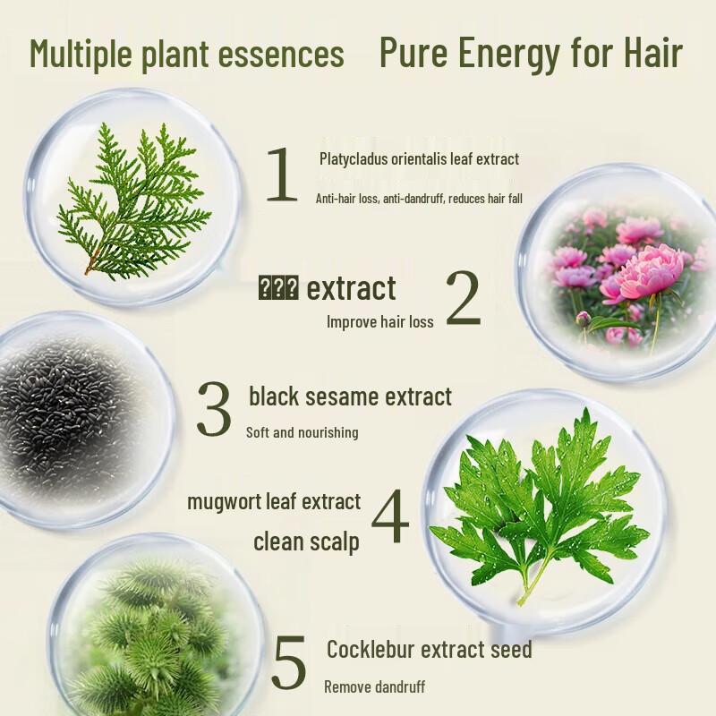 Ba Wang Anti-Hair Loss Shampoo