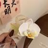 Cloth Flower Hair Claw Bohemia Barrettes Large Shark Clip Creative Orchid Hair Clip  Daily