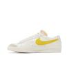Nike Blazer Low 77 Vintage Парусный Мульти Мужские DA6364-106