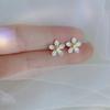 Sakura Stud Earrings Women's Simple and Small Flower Earrings Temperament Can Wear Mini Invisible At Work