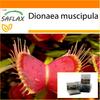 Garden in the Bag - Венерина мухоловка - 10 семян - С субстратом в подходящем пакете - Dionaea muscipula