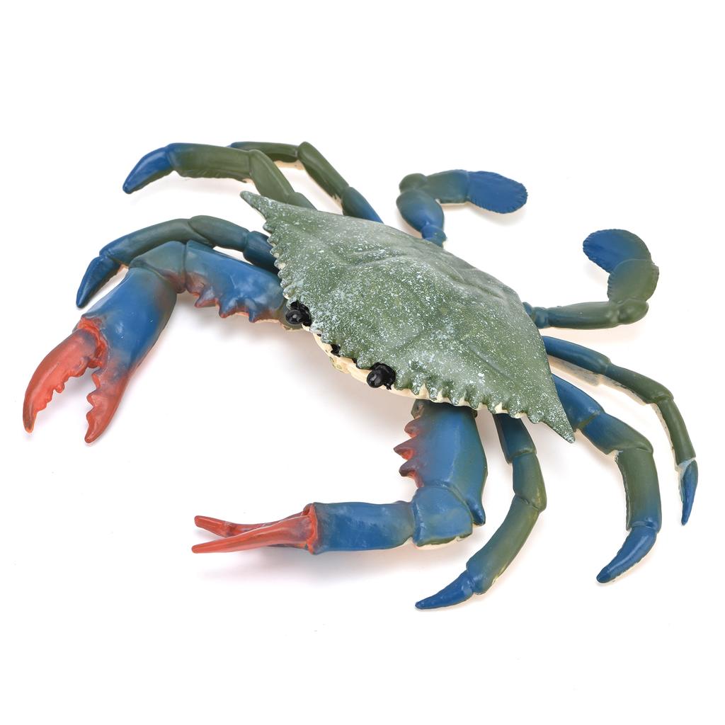 Realistic Marine Animal Crab Model Simulated Plastic Crab Kid"s Educational Props Crab